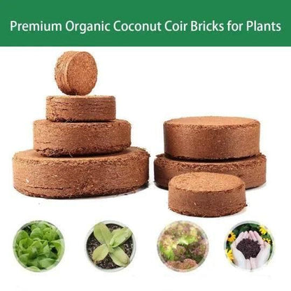 Coconut Coir Coins: Compact Natural Coir Discs - Eco-Friendly Efficient Plants Growth (Pack of 10)