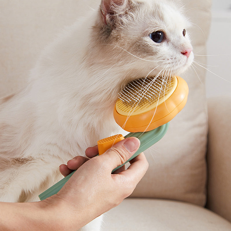 The Pets Hair Grooming Brush